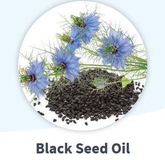 BLACK SEED OIL